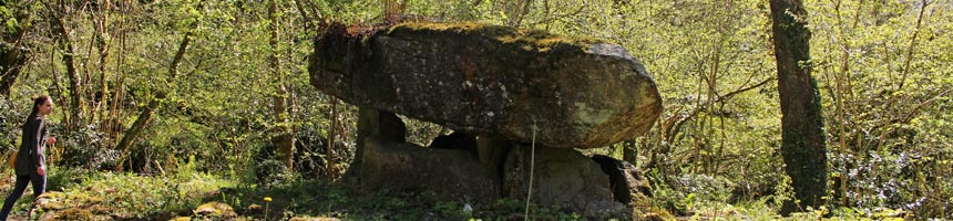 retour à la page précédente